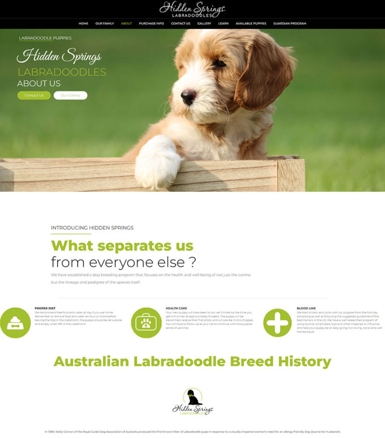 New Jersey Multimedia • Hidden Springs Labradoodles • Website Design