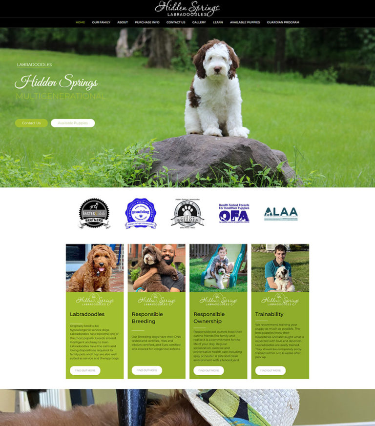 New Jersey Multimedia • Hidden Springs Labradoodles • Website Design