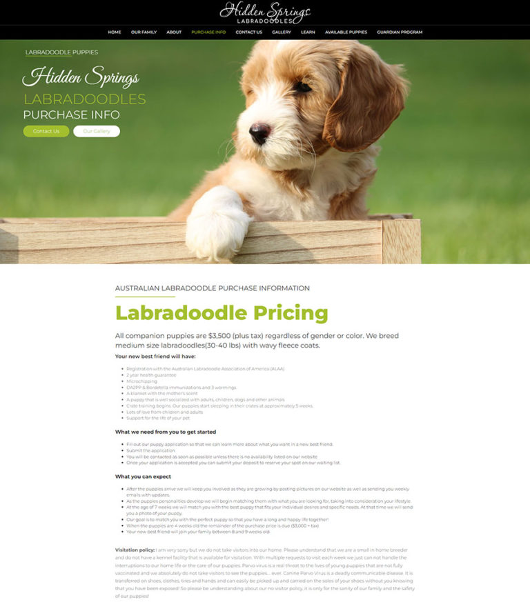 New Jersey Multimedia • Hidden Springs Labradoodles • Website Design